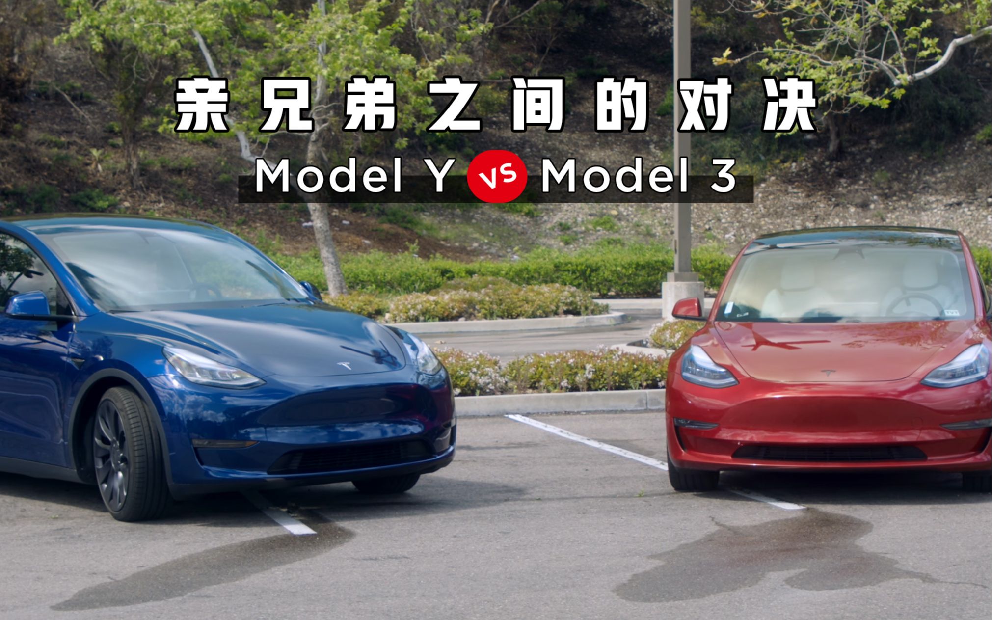 特斯拉teslamodelyvsmodel3对比评测亲兄弟之间的对决