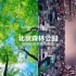【规划案例】AECOM 上海市浦东新区北蔡楔形绿地城市设计 多媒体演示文件-BeiCai Forest Park