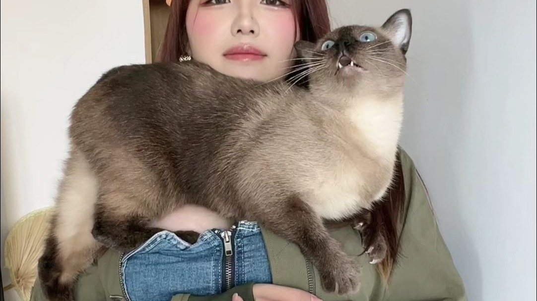 Gear is a clingy Thai guy.