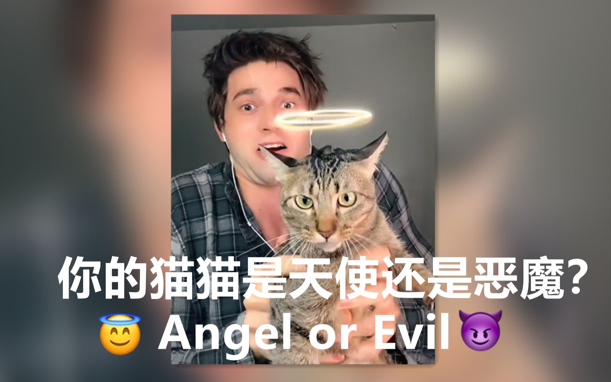 看看你的猫猫是天使还是恶魔？ 😂