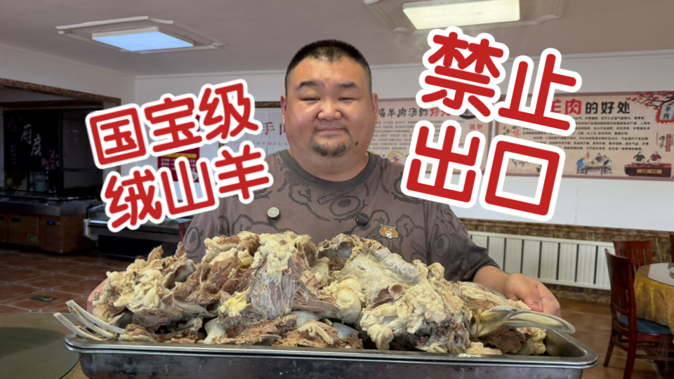 “国宝级”绒山羊，禁止出口，肉香弹性国内顶级羊肉，清水煮3小时，汤都喝了