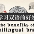 【TEDed】学习双语的好处The benefits of a bilingual brain