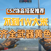 「CS2饰品推荐」不到1W拿下全套黄色系饰品_网络游戏热门视频