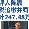 车评人陈震偷税追缴并罚共计247.48万元