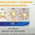 国际会议_Shell-matrix interaction in nanoparticles imprinting ma