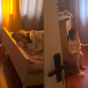 女儿坐床前看爸爸睡觉，全程不语目不转睛，得知原因妈妈当场泪目