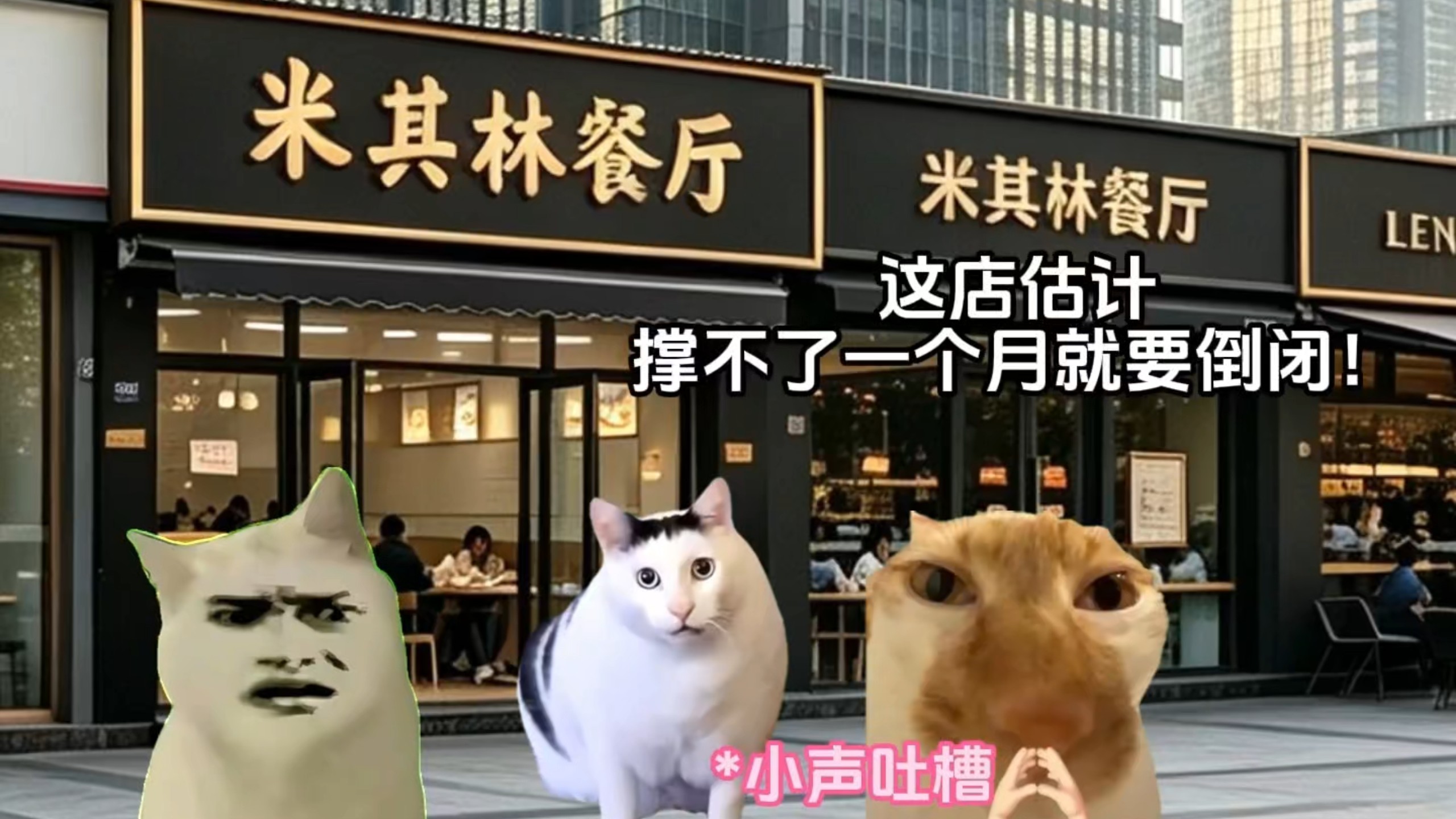 猫小孩meme