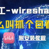 【附安装教程】网络工程师必看！1 分钟学会 Wireshark 抓包，新手老手都能快速上手，速戳学习