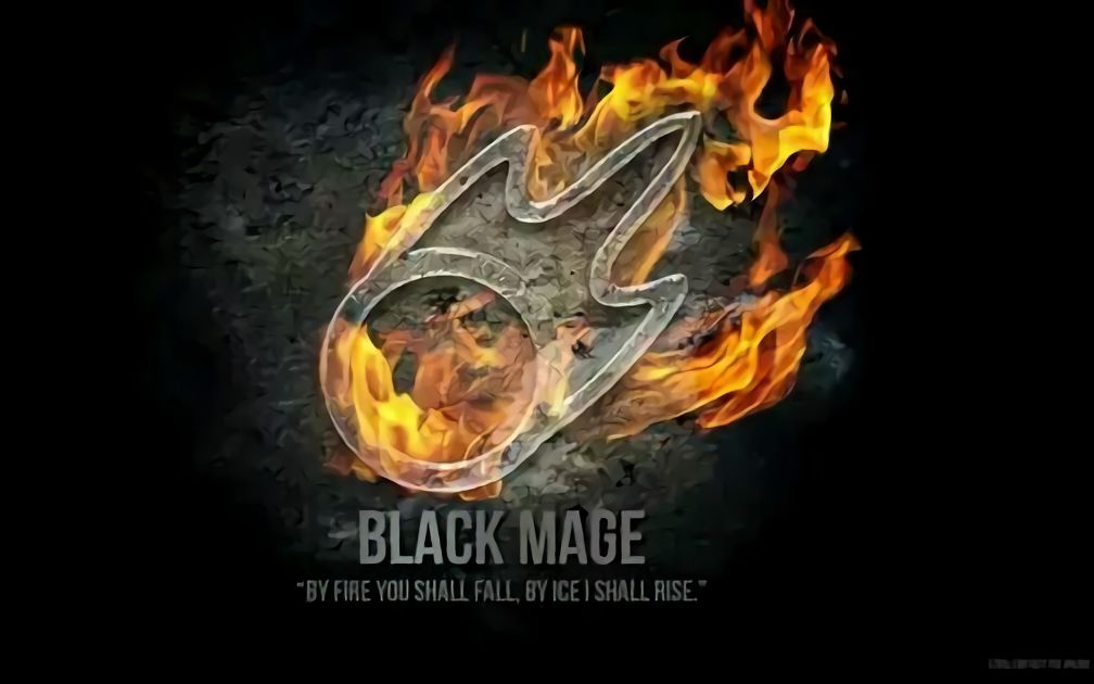 ff14a12s通关纪念视频黑魔第一视角