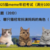 2025年猫meme 年初考试