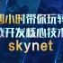游戏开发核心技术点 skynet训练营丨四小时带你玩转游戏服务器skynet框架技术点丨lua的应用