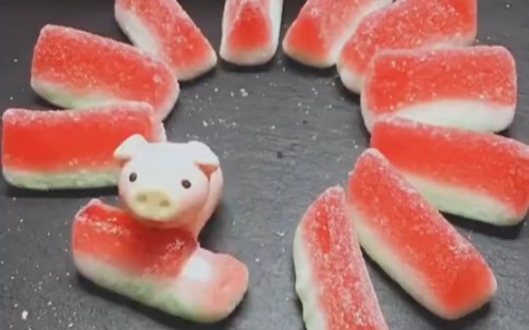 【定格动画】超级可爱的吃货小猪猪