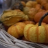 空镜头视频 南瓜食物秋季收获 素材分享