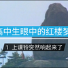 高中生眼中的红楼梦！处处都是真实高中生活
