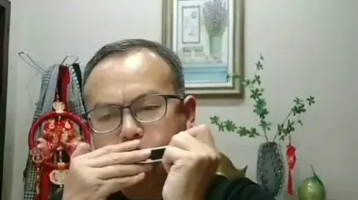 口琴吹奏《红翼鸟》