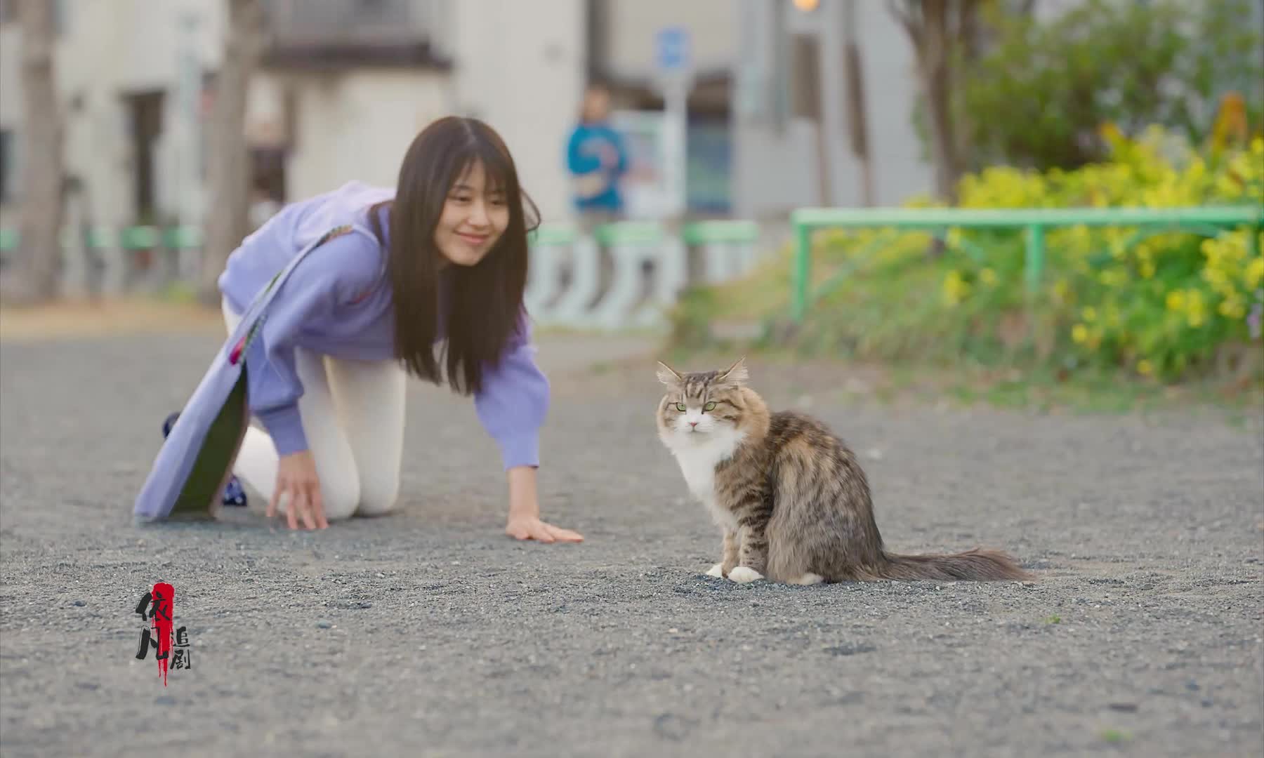 有村架纯演风俗小姐从良后的宁静生活,好的电影能治愈孤独的心灵哔哩哔哩bilibili