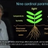 （植物补光灯）植物生长和发育的最佳光谱质量-布鲁斯·布比博士（Bruce Bugbee）