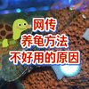 养龟方法不重要，用药才重要！没有养龟博主敢说，按养龟场龟商的养龟方法，为什么养不好龟？其实那些龟都是药水泡大的，养龟方法不重要，有各种各样的药物才重要