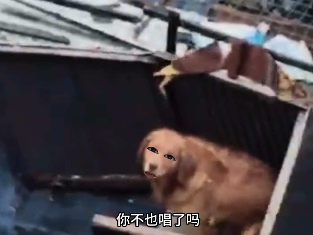 谢谢！这场冰雨真的很冷！