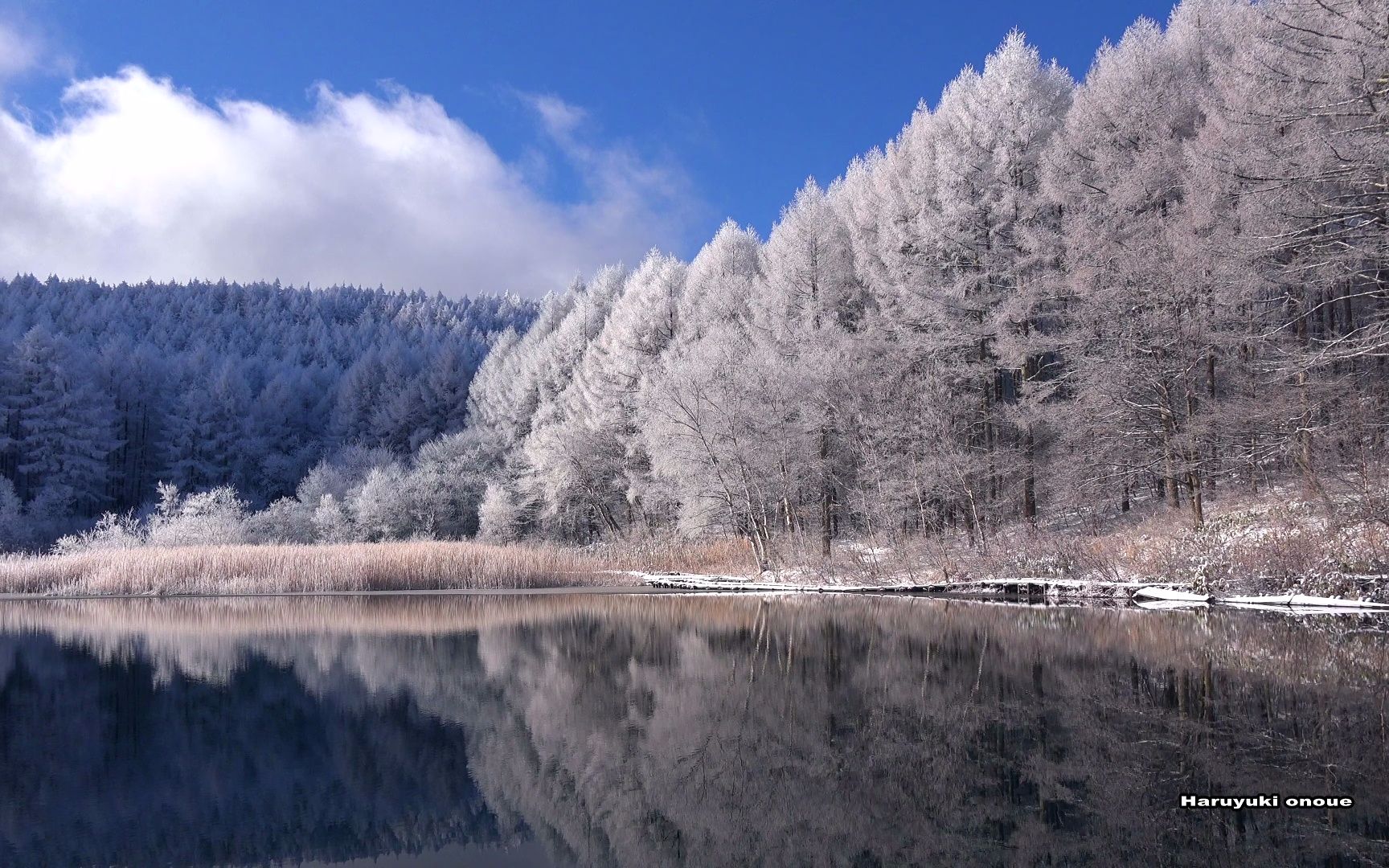 【4K超高清日本】第一视角 从冬天到春天美丽的圣高原中牧湖 2023.2