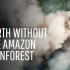 What If We Lost The Amazon Rainforest