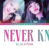 BLACKPINK——You Never Know（韩英字幕）