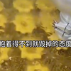 只赚钱不谈情，职业舔狗我最行