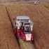 实拍，2021年山东东营小麦收割，还记得20年前收割小麦的场景吗