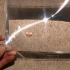 高聚光的菲涅尔透镜，分分钟融化硬币