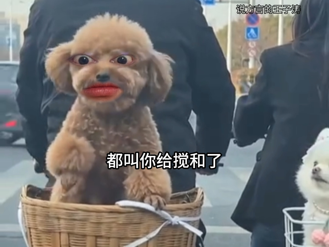 《黄毛偷亲白富美》