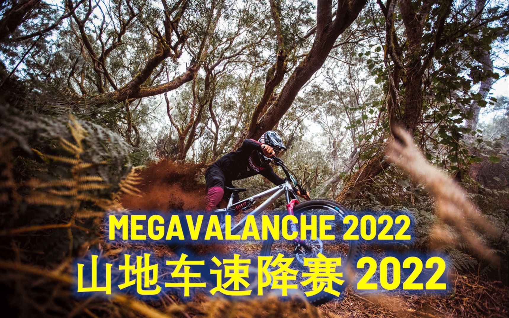 完整版 沉浸纯享 第一名 2022 山地车速降赛(MEGAVALANCHE 留尼汪岛站) 奥利维尔·布鲁威尔视角