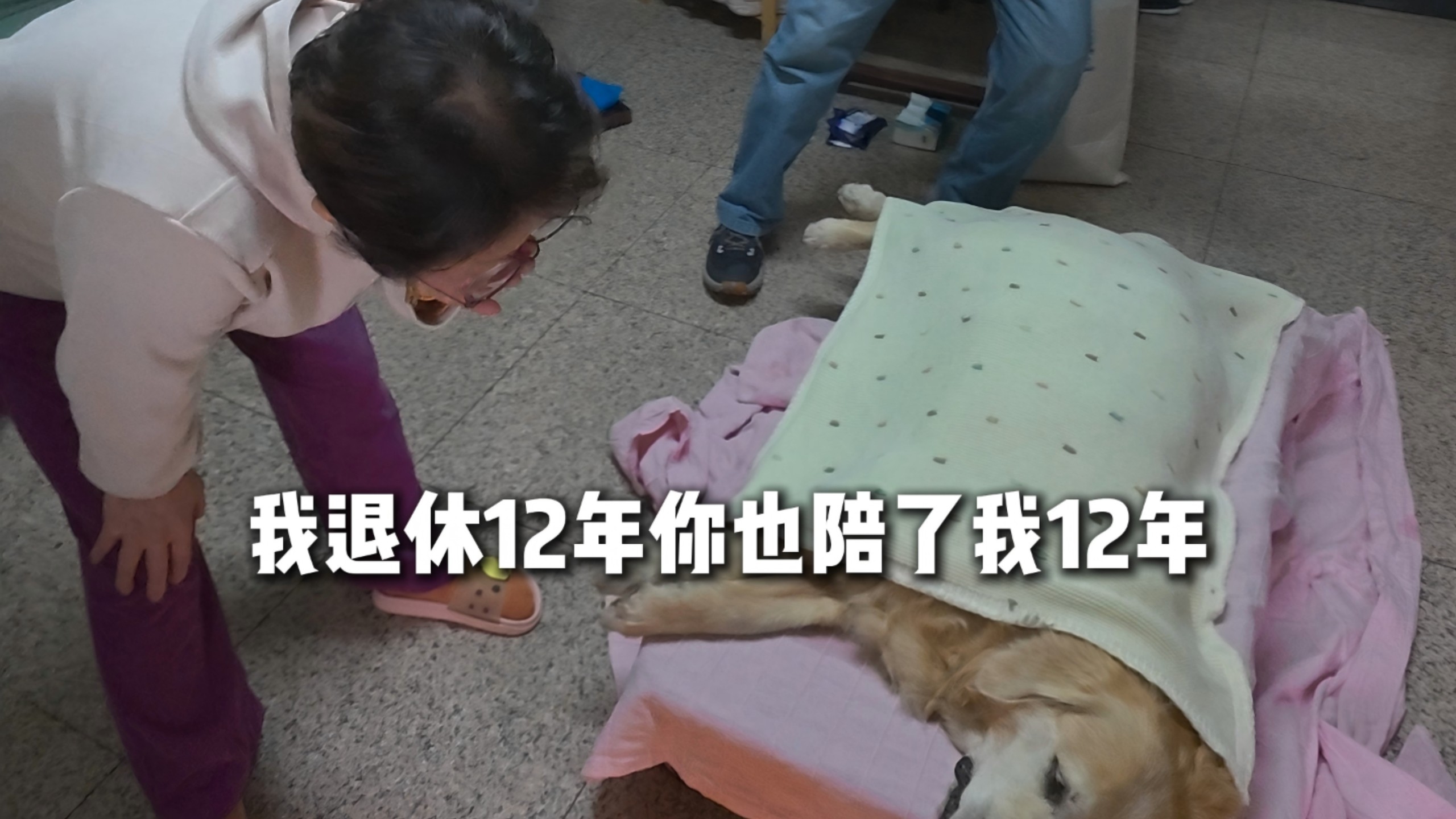 我退休12年你也陪了我12年