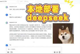 不要本地部署Deepseek了！！！电脑显存没有12G以上的部署本地后用起来感觉降智变“智障”了！还是推荐网页版或玩API！