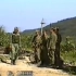 『车臣战争』战争录像带