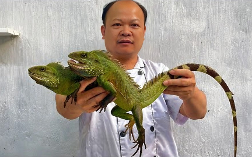 见识一下，越南人的顶流街边美食《巨型蜥蜴》烹饪手法相当独特！