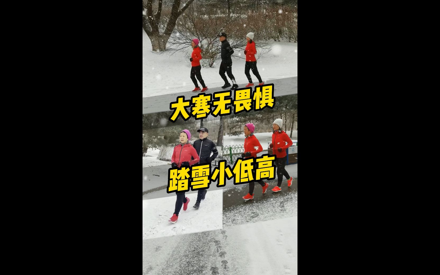 大寒无畏惧，踏雪小低高