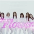【演唱会】[中日字幕]E-girls LIVE TOUR 2014 COLORFUL LAND【FLOWER CUT】