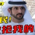 游民七日谈：偷了迪拜王子的龙狙能卖出去吗？【游民星空】