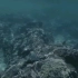 【Winter Whale_助眠】白噪音 | 海底浮潜，听海底的声音（两小时超长白噪音，适合学习专用）