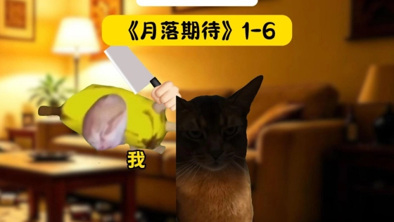 月落期待