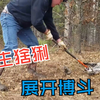 男子与猞猁展开搏斗，场面看得人想爆脏口，怎料结局反转