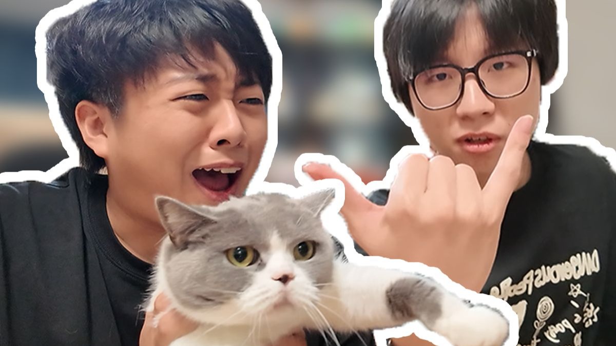 百大up主养什么宠-小潮院长篇