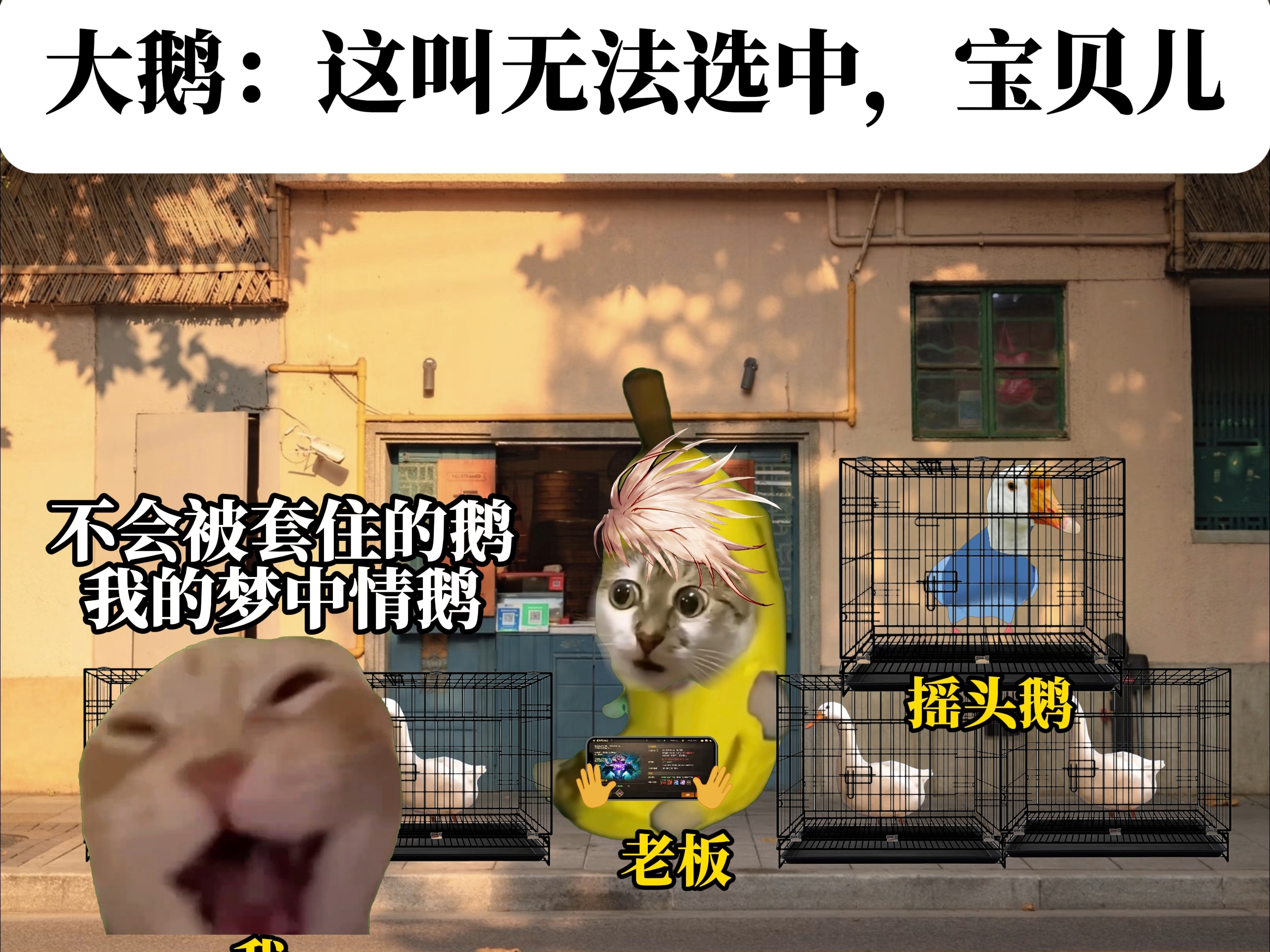 大鹅:这叫无法选中，宝贝儿。