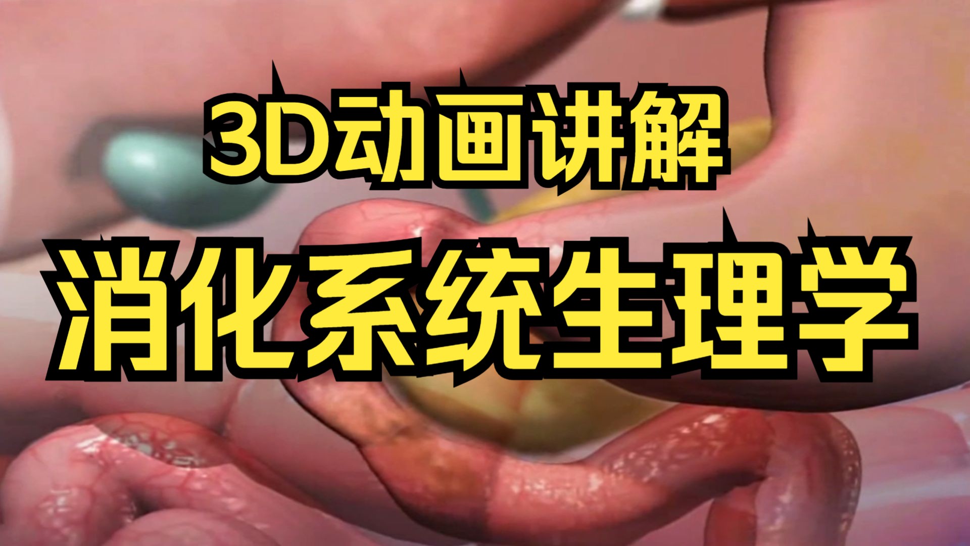 6.消化系统解剖生理学-消化系统讲解-消化系统课程-消化系统动画
