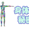 身体如何影响思维和行为|《具身认知