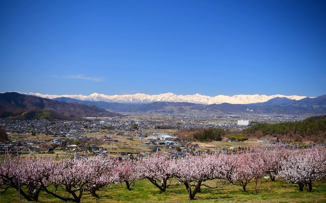 【超清日本】第一视角 残雪的北阿尔卑斯山和美丽的杏花 (4K超清版) 2021.3
