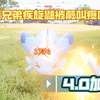 疾旋鼬:叫疼【4K60FPS】加强纯享版  兄弟兄弟你不要这样啊 ~啊~ ~ 啊~ ~ ~