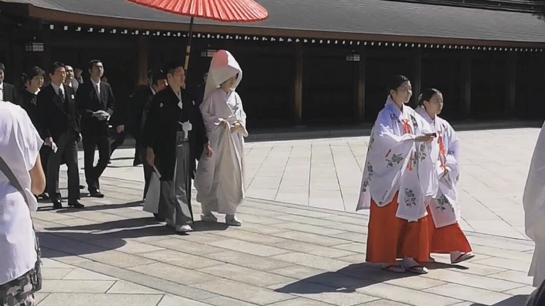 日本婚礼现场！！！白无垢真的太美了！！！