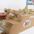 纸板DIY-制作愤怒的小鸟游戏