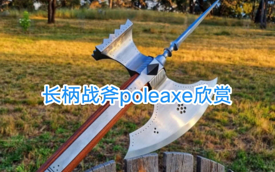 长柄战斧poleaxe—— 一种优美又暴力的冷兵器